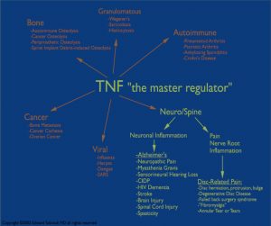 TNF, The Master Regulator, Diagram by Edward Tobinick, MD