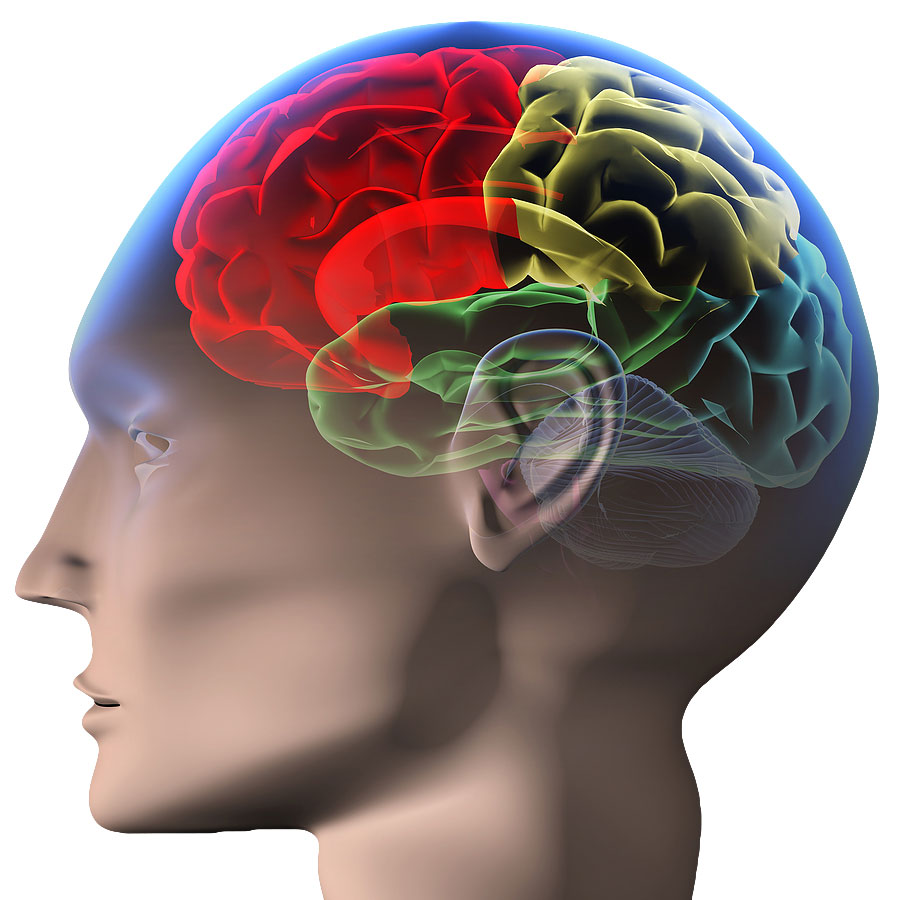Brain Injury: Traumatic Brain Injury Treatment